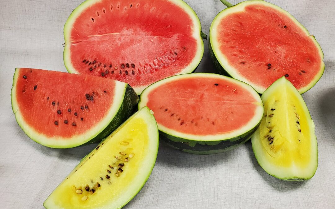 Eat Like Nature Intended: The Importance of Eating Seasonally