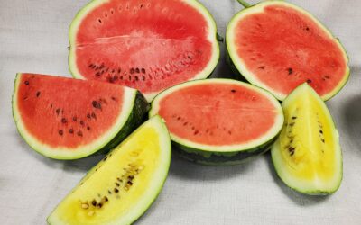 Eat Like Nature Intended: The Importance of Eating Seasonally